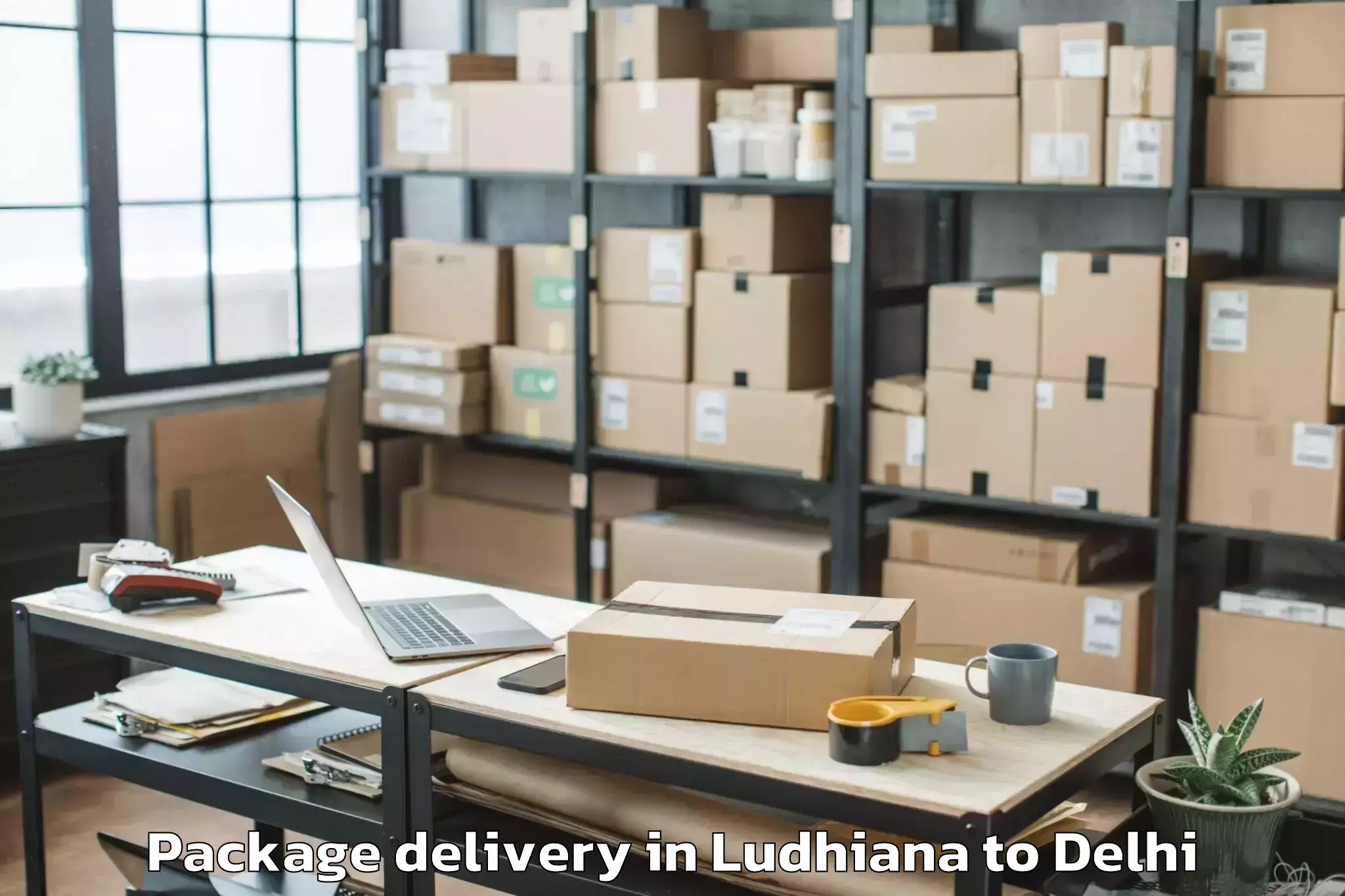 Book Ludhiana to Palam Package Delivery